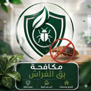 مكافحة بق الفراش